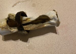 plumbers in pleasant prairie, plumbing repair in grayslake, plumbing repair in gurnee