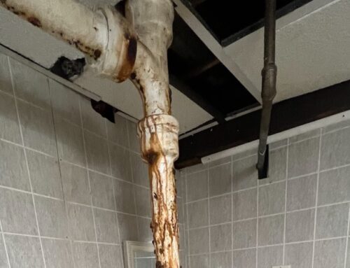 Cracked Pipe Fix & Rotting Pipe Service | Kenosha, WI Plumbers