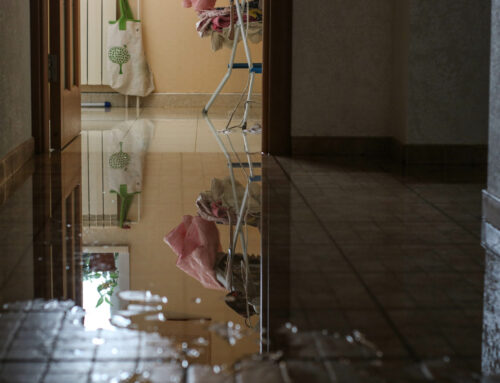 Sewer Backups in Kenosha: What Causes Them and Who to Call